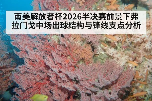 南美解放者杯2026半决赛前景下弗拉门戈中场出球结构与锋线支点分析